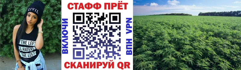 Купить закладку Codein  Меф мяу мяу  Кокаин  Озёры