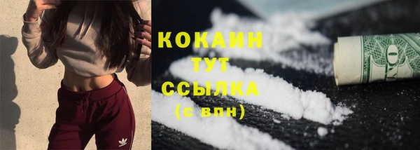 ешки Бронницы
